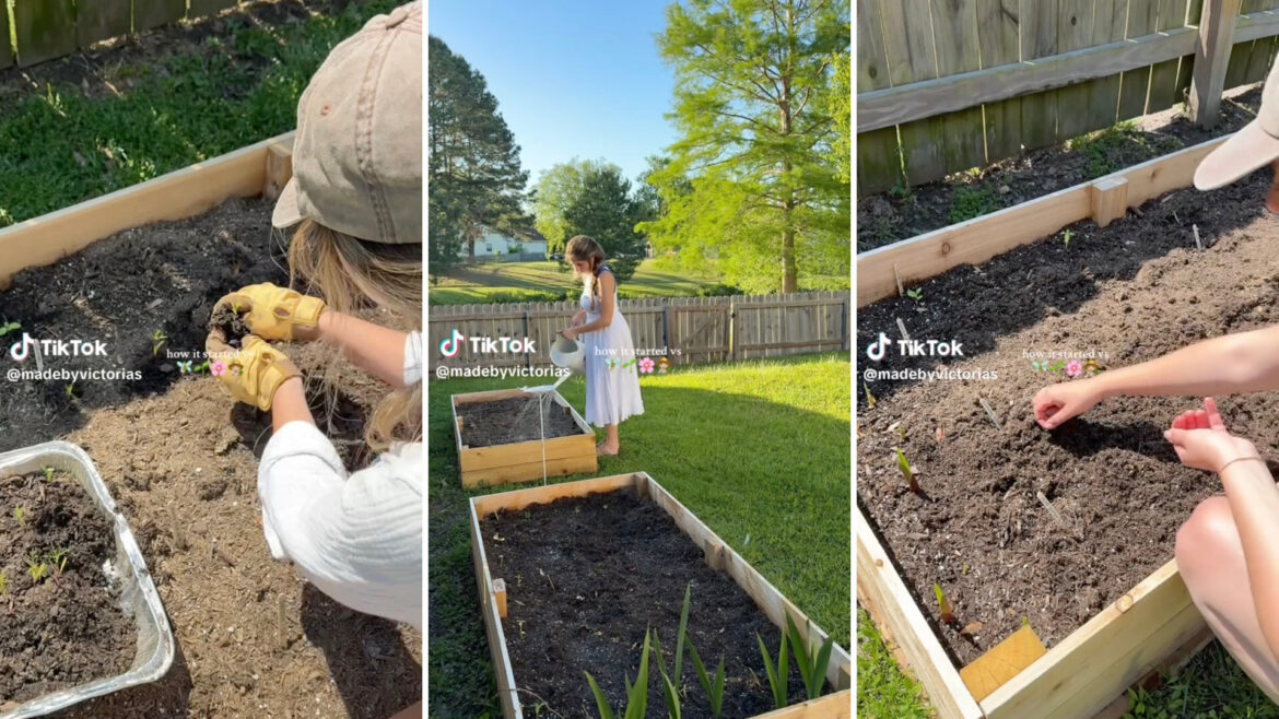 One TikTok user shared how she transformed her backyard into a pollinator oasis, creating the ideal space for beneficial insects.