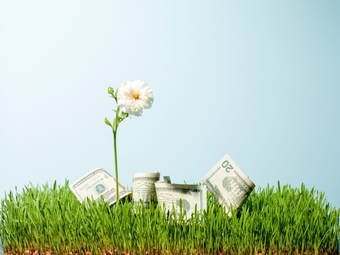 Rose’s Income Garden 4 October Raises: 8.9% From Philip Morris