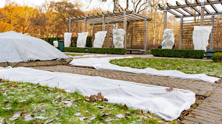 garden covered with frost blankets