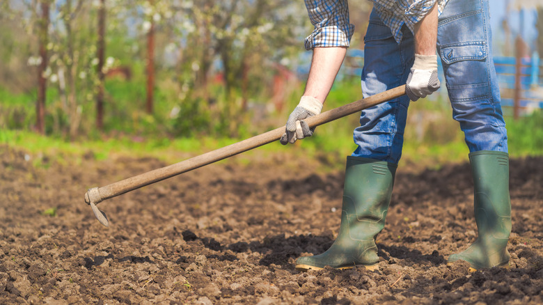 person tilling a vegetable garden plot
