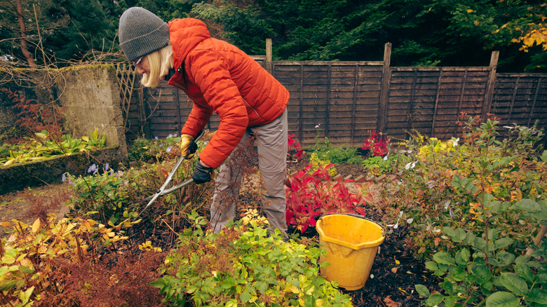 working in the garden at the end of the year