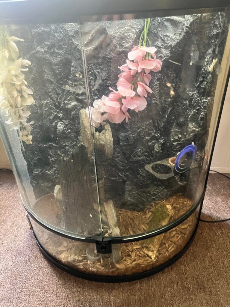 Could I make a terrarium with this even if it doesn’t seal?