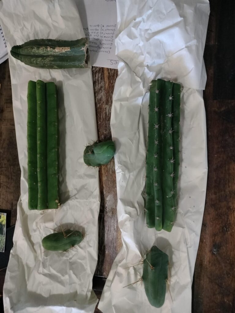 Dave's bud killed it w the late birthday pack.