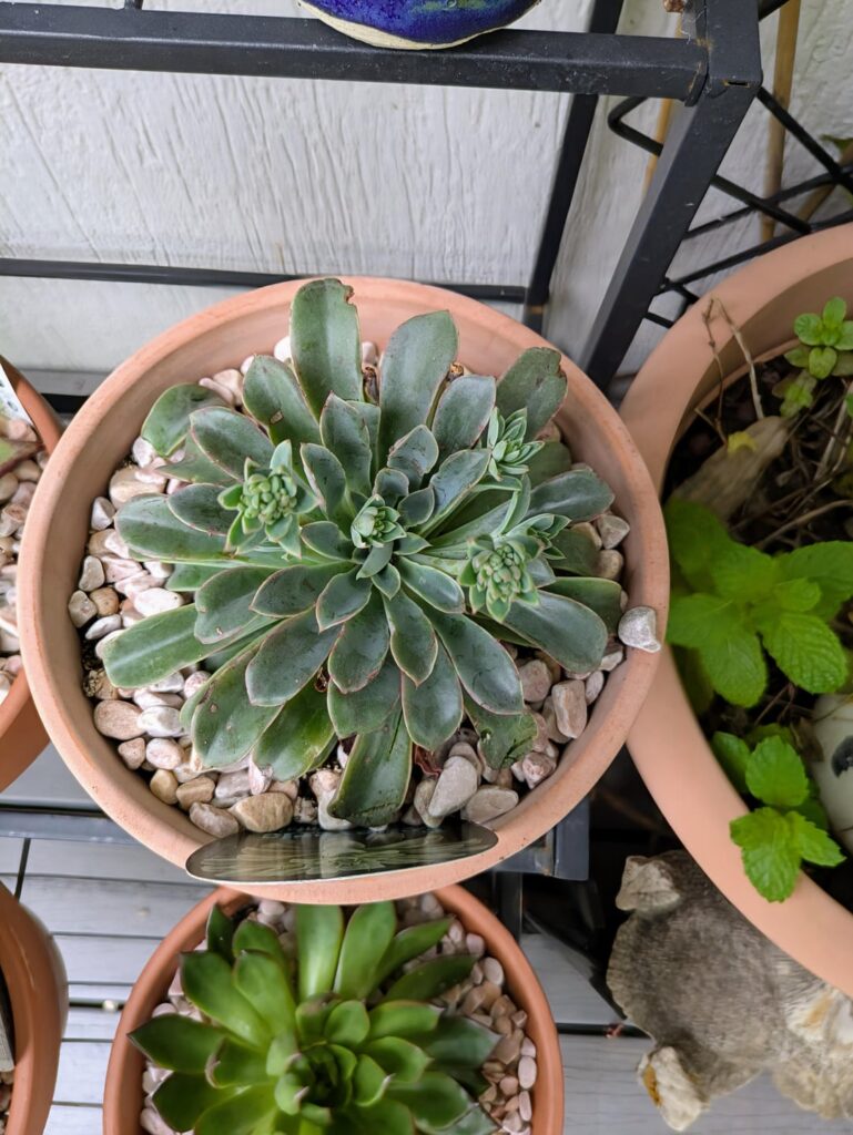 New Finds @ Bunnings. New Finds @ Bunnings.