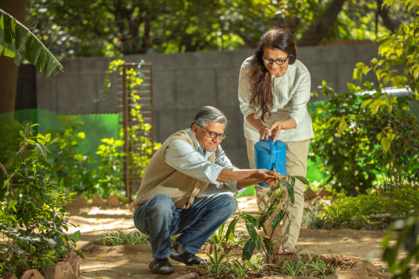 Reduce Stress And Anxiety: Gardening helps lower stress and provides a soothing outlet for tension. The repetitive, mindful nature of planting and watering is deeply calming.