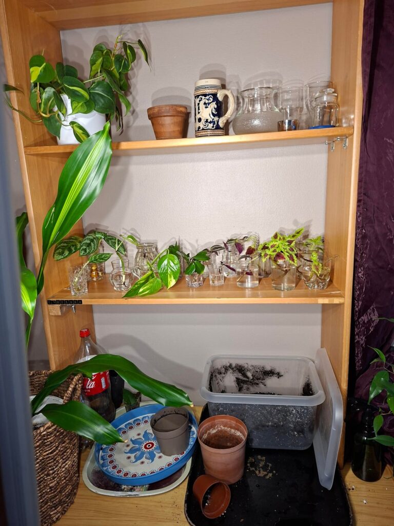 What do we think about mismatched propagating containers? Here are mine: What do we think about mismatched propagating containers? Here are mine: