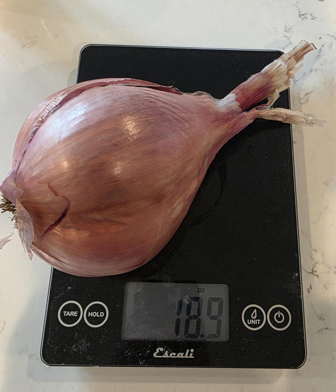 If a recipe calls for 1 shallot, will this be enough?