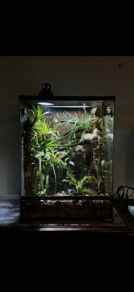 One year of growth before and after ❤️