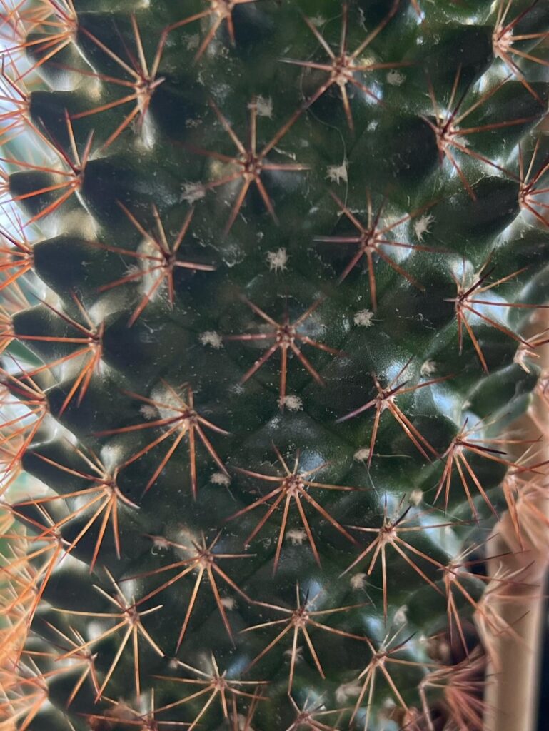 I’ll throw ths bch out.