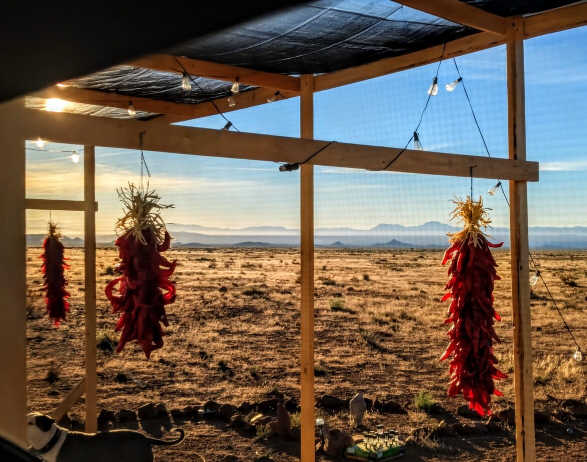 Good morning from "Definitely Not a Cult Ranch" here in the high desert of NM. The chiles are almost dried 🌶️🤠