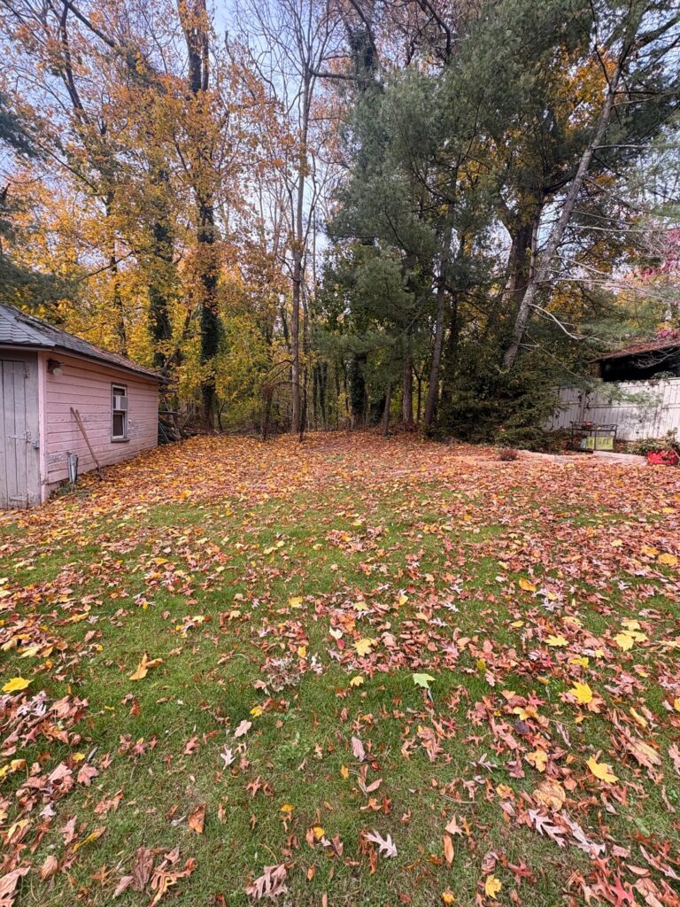 Idea for backyard area (Northern NJ) Idea for backyard area (Northern NJ)