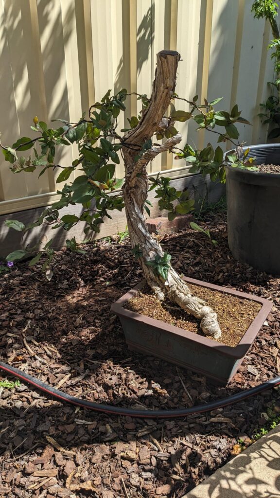 Show me your experiments