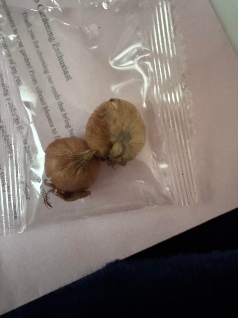 These came in the mail with no information. What are they?