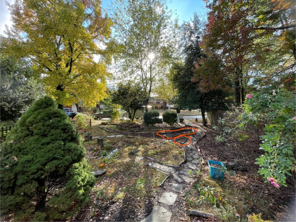 What would you plant here? Mid-Atlantic USA