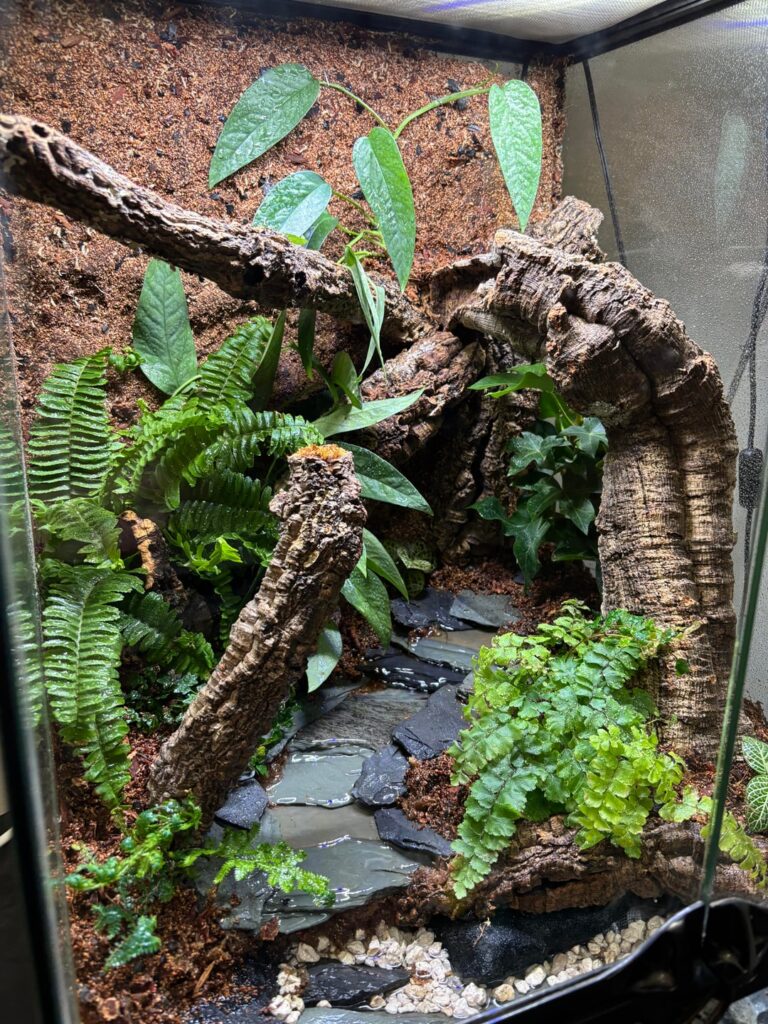 Forest Replica with Stream Forest Replica with Stream