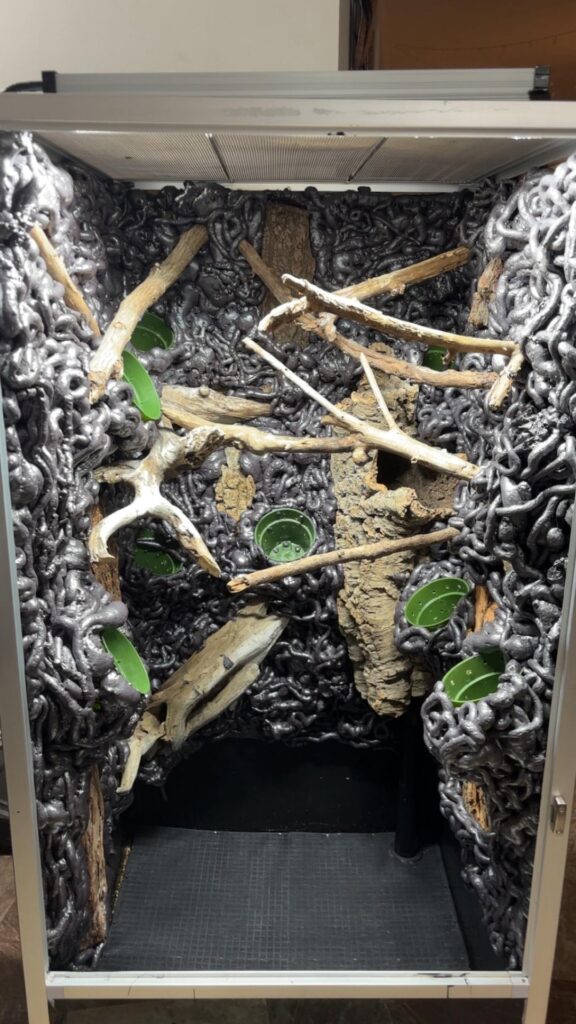 5 hours of carving later