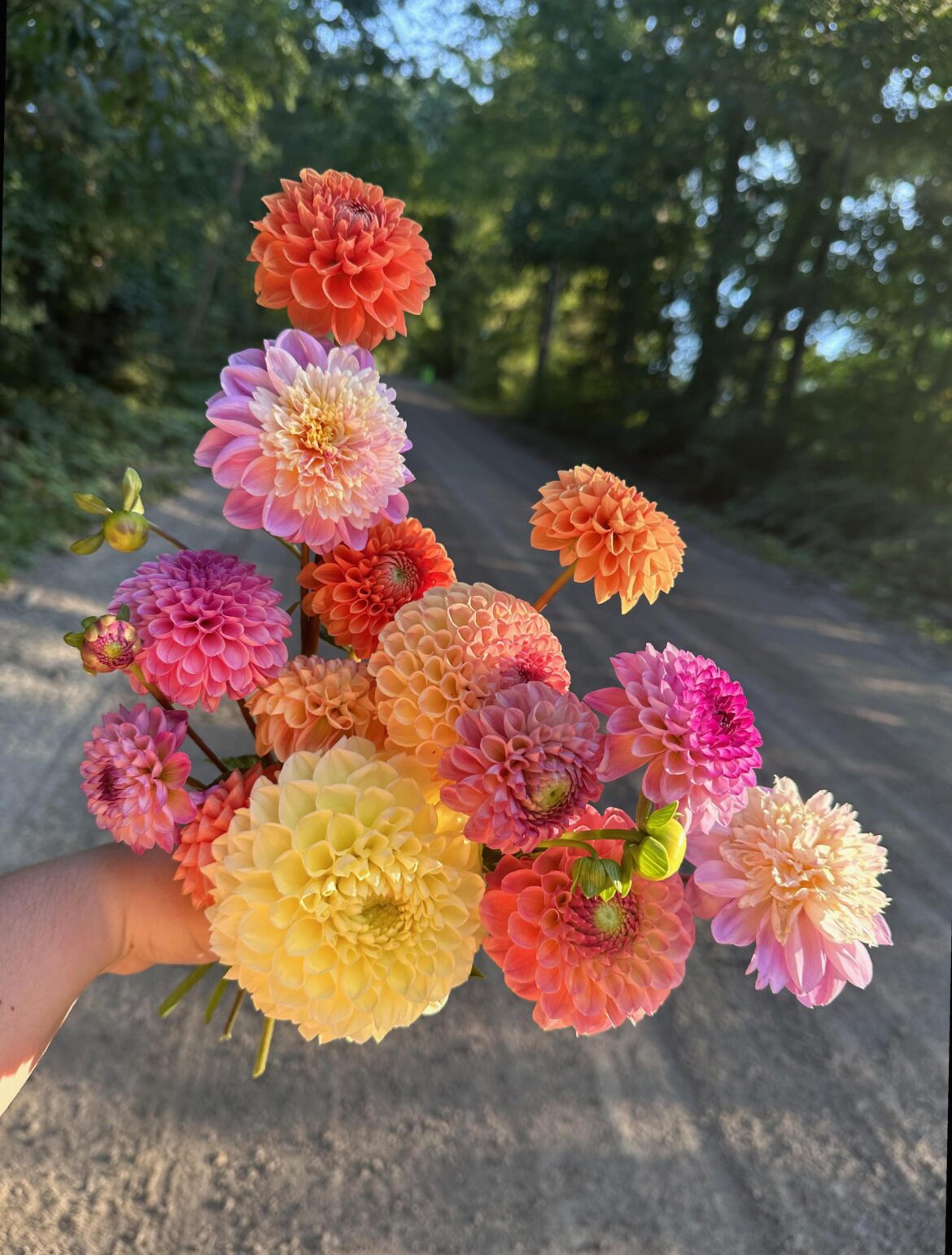 The lighting last night was too perfect