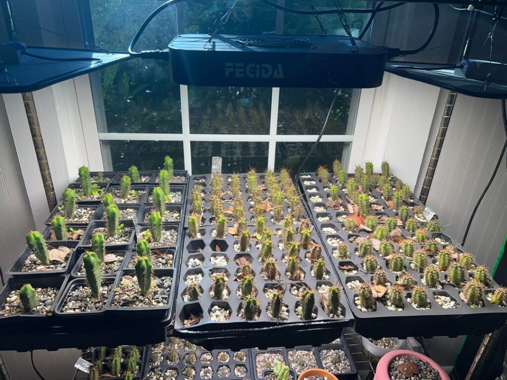 Baby plants’ winter home