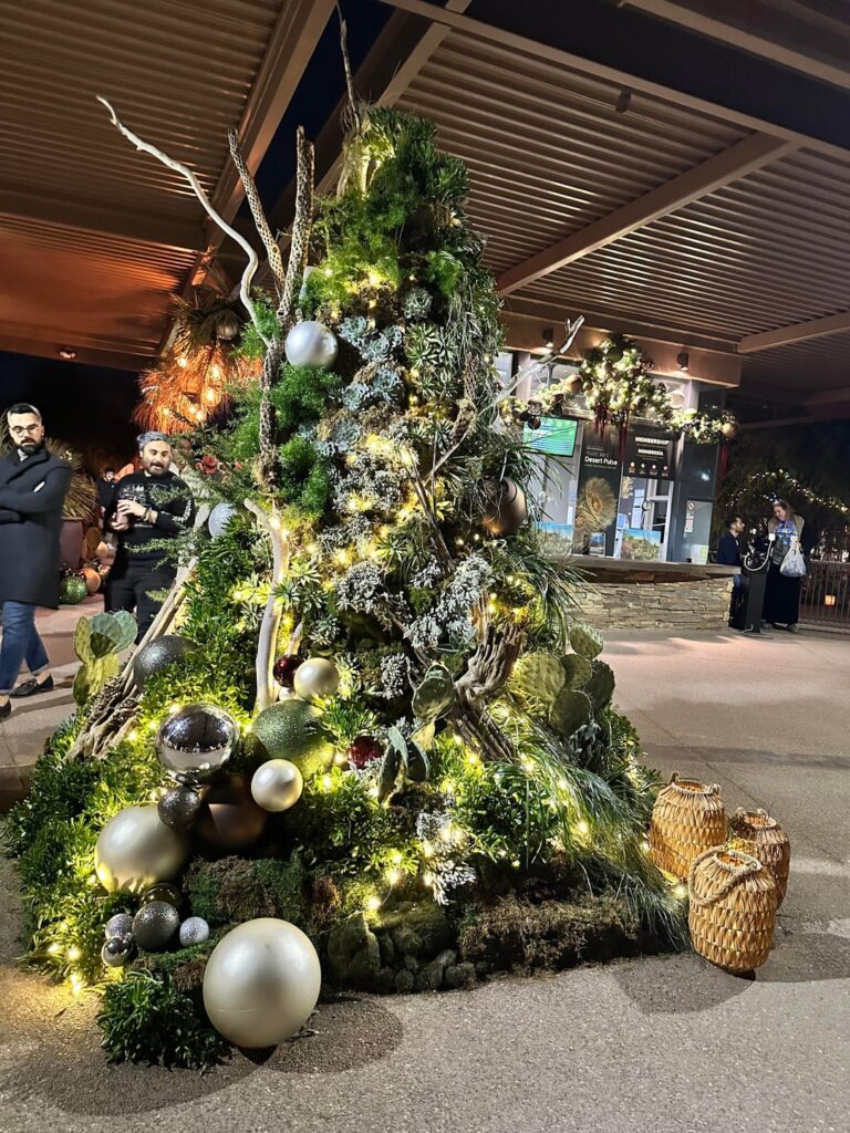 Succulent Christmas Tree