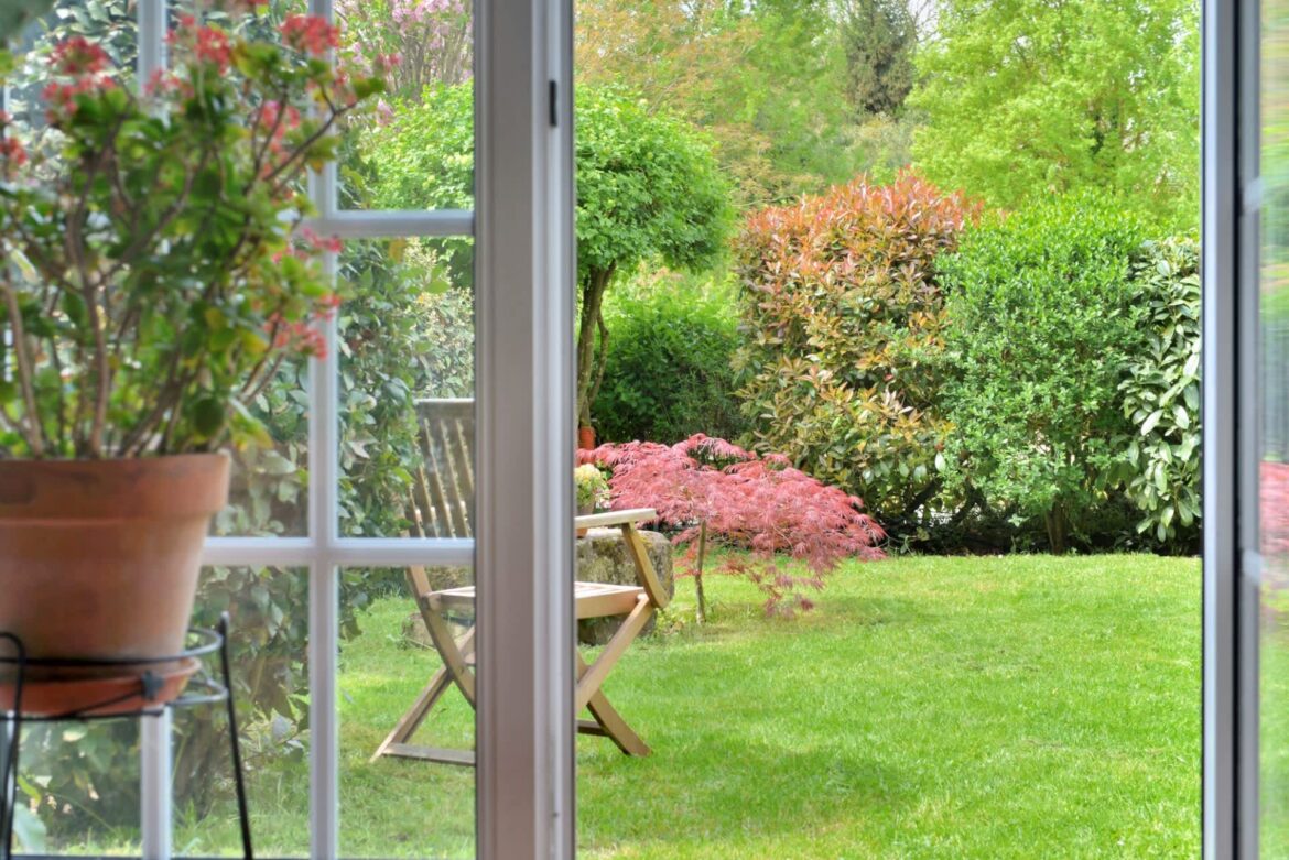 One Reddit user shared how their garden got wild after letting their yard grow naturally, with photos of kangaroos included.