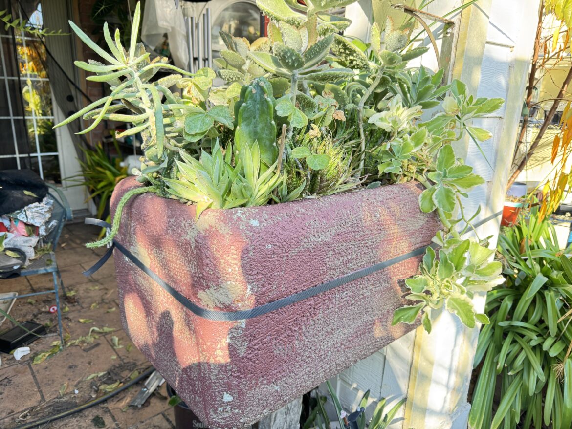 Trough planter