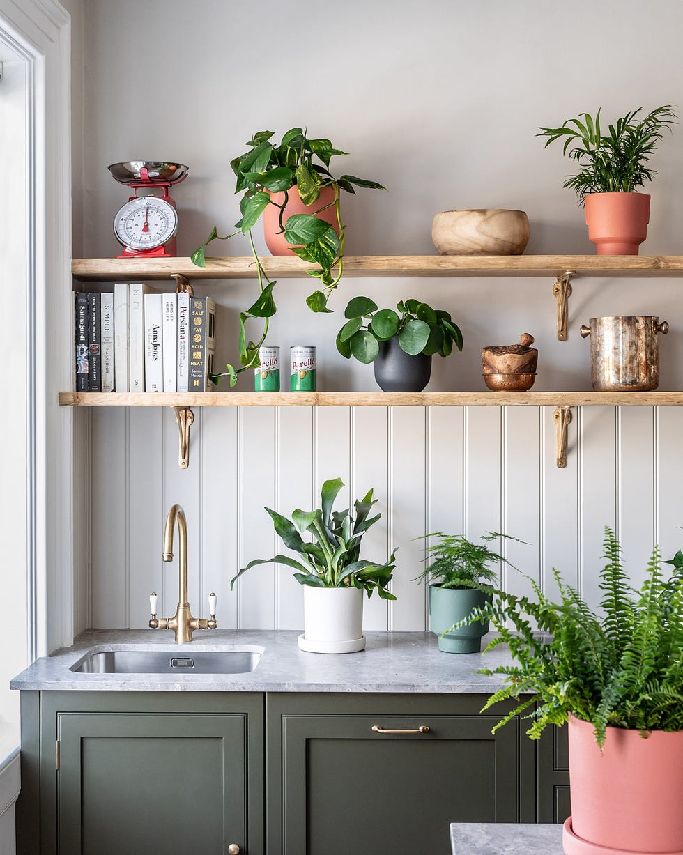 Kitchen Plants a kitchen with dark green cabinets, shelves with plants on it, and a marble countertop