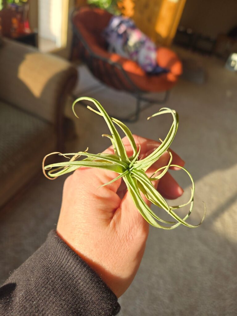 Help! What does it need!? Help! What does it need!?