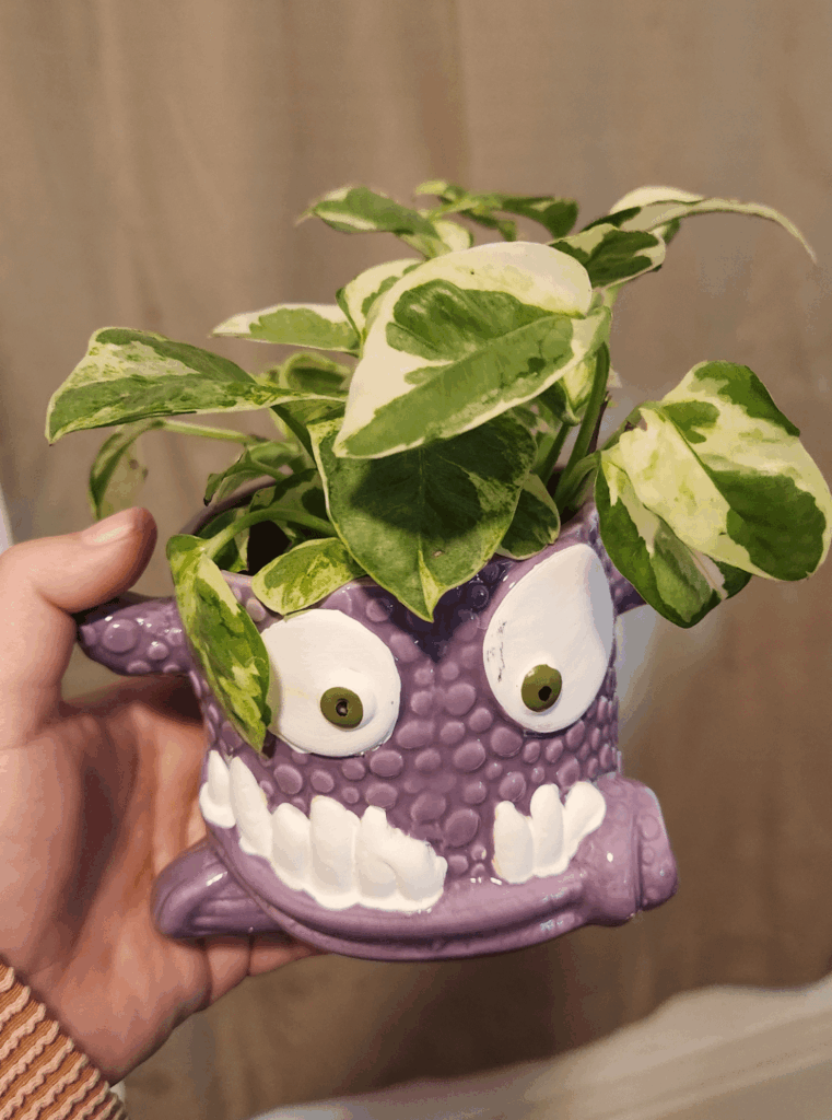 New to this group and wanted to share today's find.