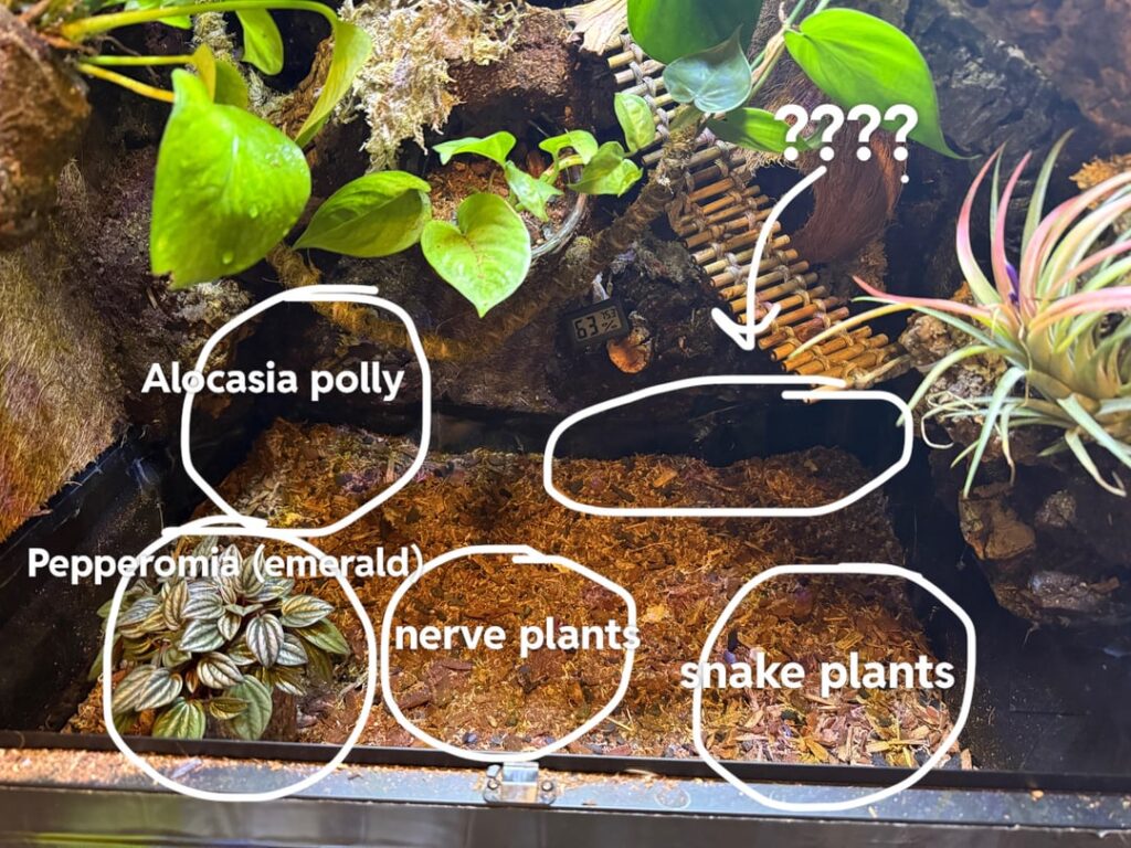 Please help! Need planting advice for build in progress