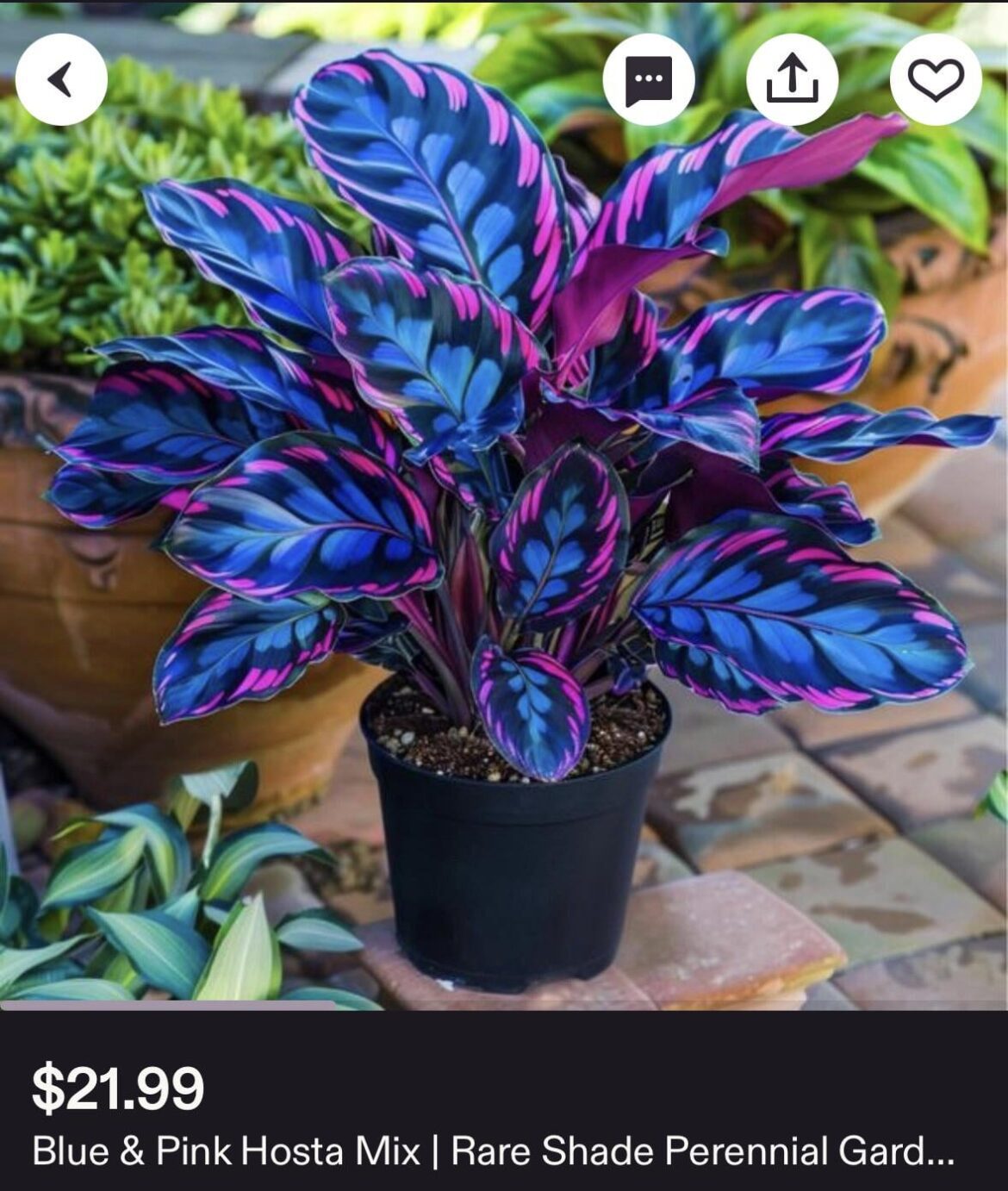 Found on Etsy. This has to be fake, right?