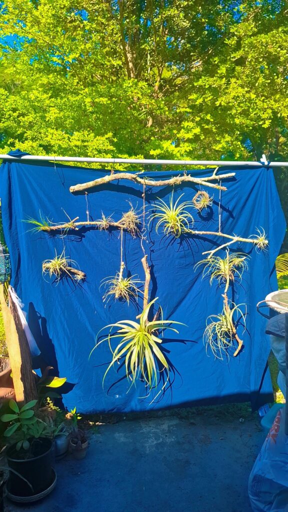 Hanging airplant mobile