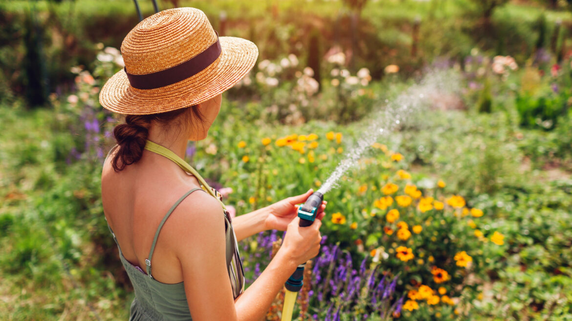 The Easy-To-Grow Plant With Stunning Color In Fall & Summer That Thrives In Most Conditions