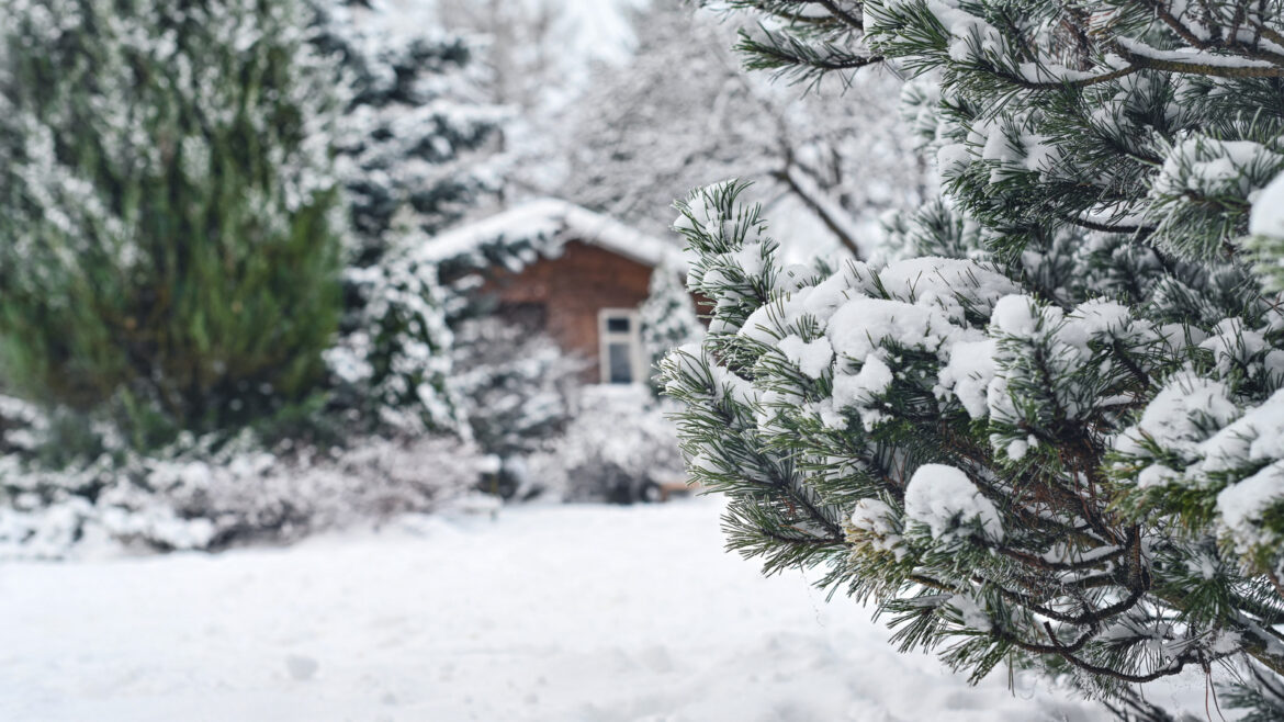 If You Live In These States It’s Time To Prep Your Garden For The First Snow If You Live In These States It's Time To Prep Your Garden For The First Snow