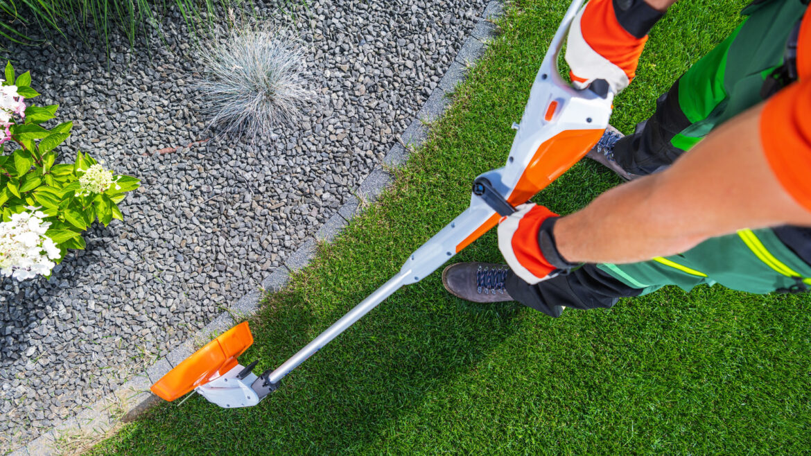 Which Is Best For A Pristine Lawn? Which Is Best For A Pristine Lawn?
