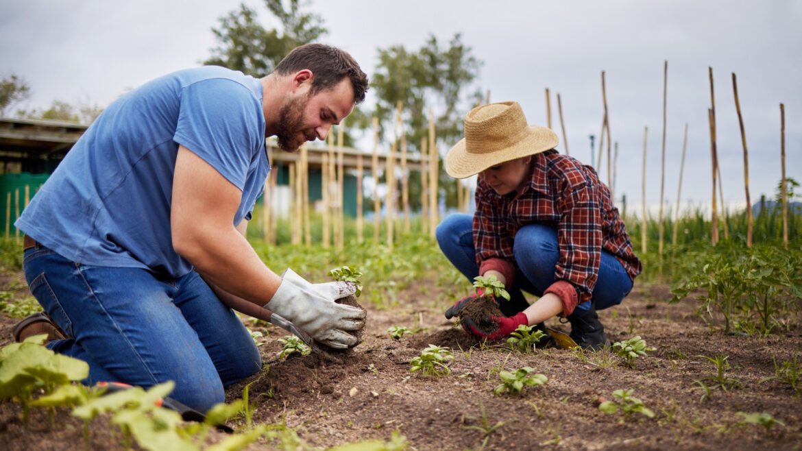 Want To Get Into Native Gardening? Use These Resources To Get Started Want To Get Into Native Gardening? Use These Resources To Get Started
