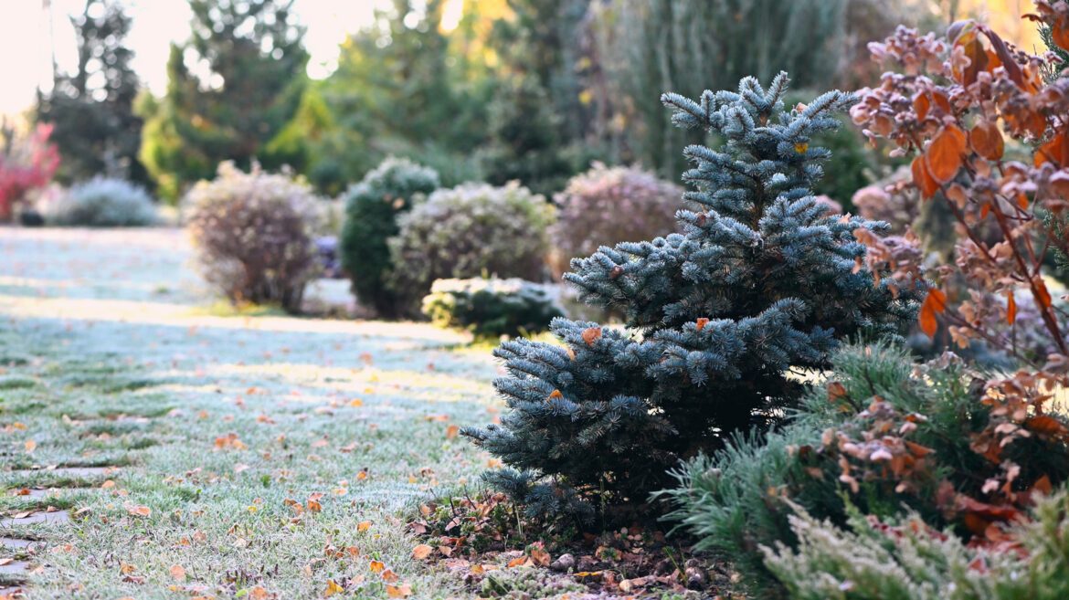 Here’s What You Need To Know To Protect Your Garden Here's What You Need To Know To Protect Your Garden