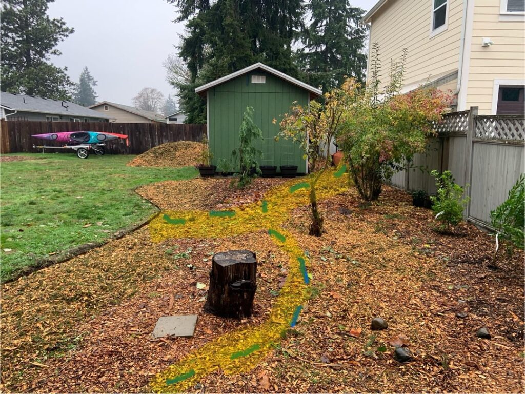Suggestions for Native Plants Along Path (Western WA, US)?