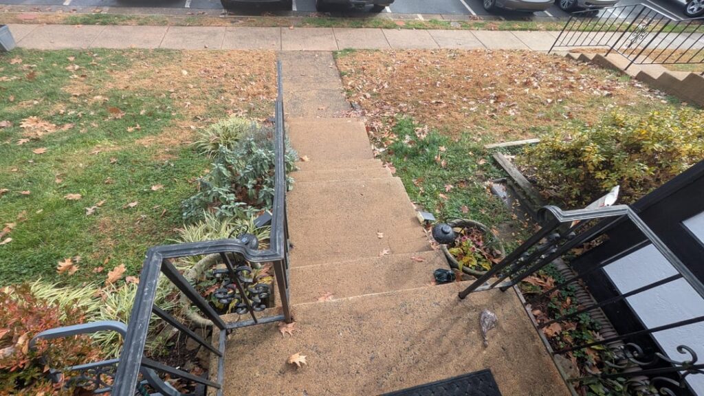 Please help a dumbdumb get started taking care of this - dc zone 7b