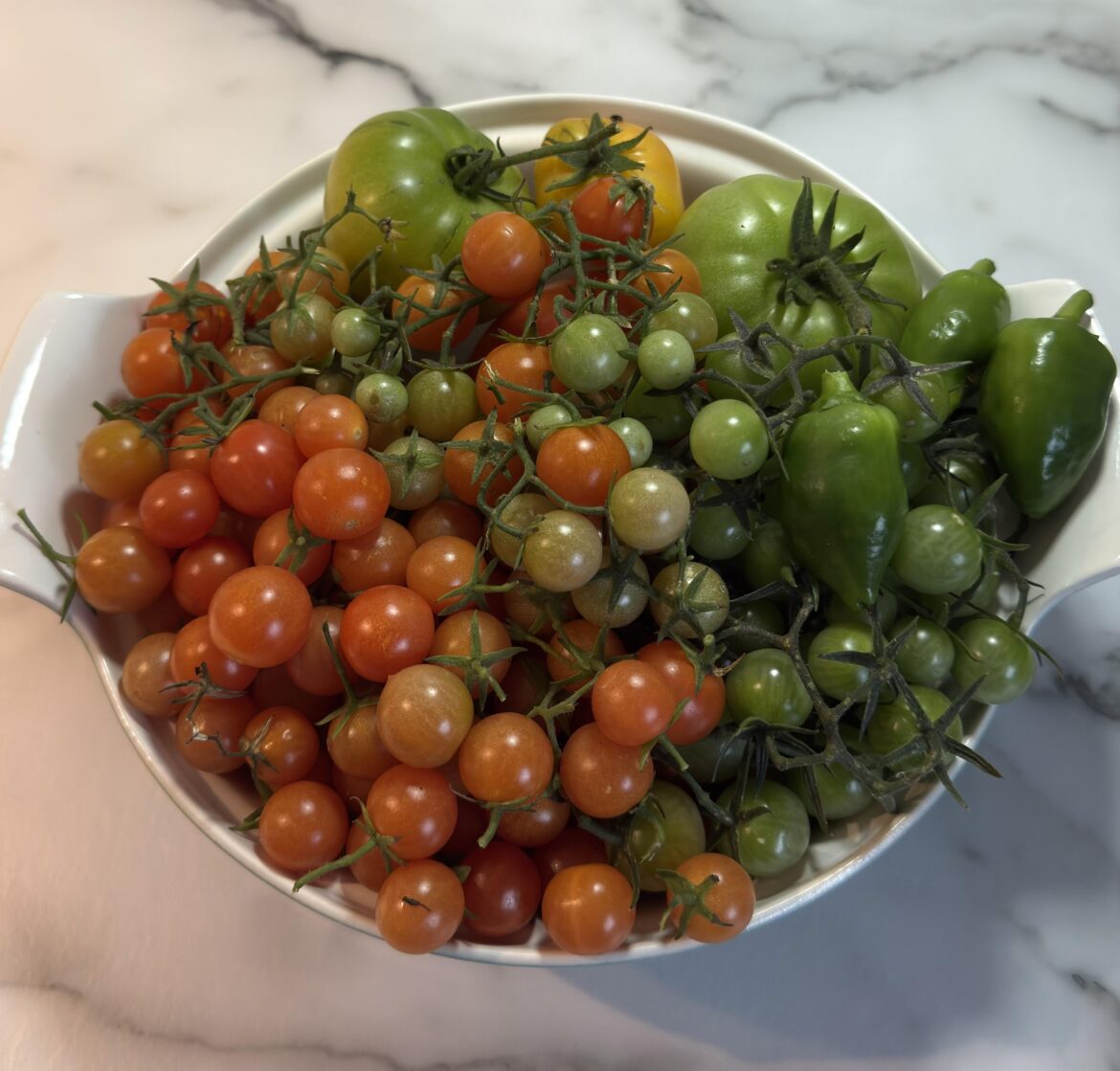 Final harvest - not bad for November!
