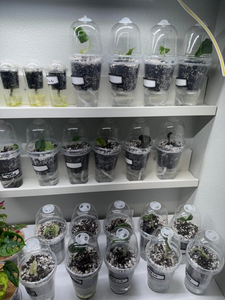 Update: Came home from vacation ..