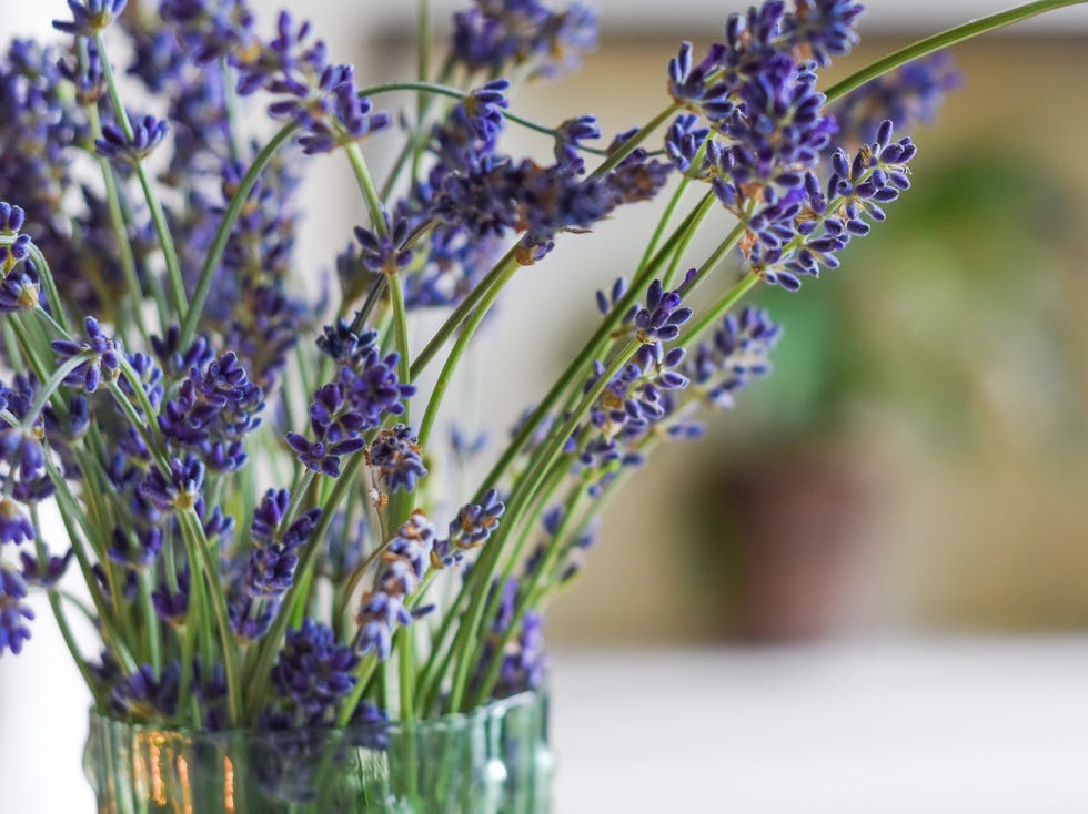 modern home interior of living room with scented candle and lavender flowers on coffee table