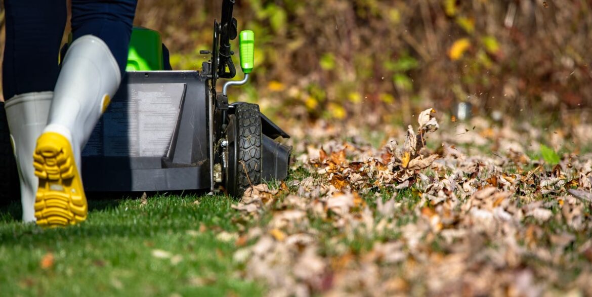 Should You Cut Your Grass Short Before Winter? An Expert Reveals The Golden Rules