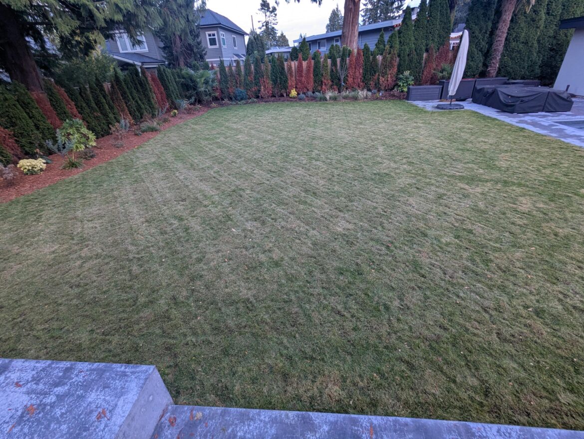 Too late for top dressing? Too late for top dressing?