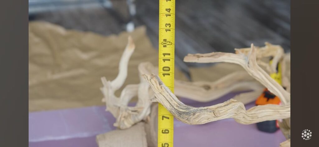 Does anyone know which wood this is ?