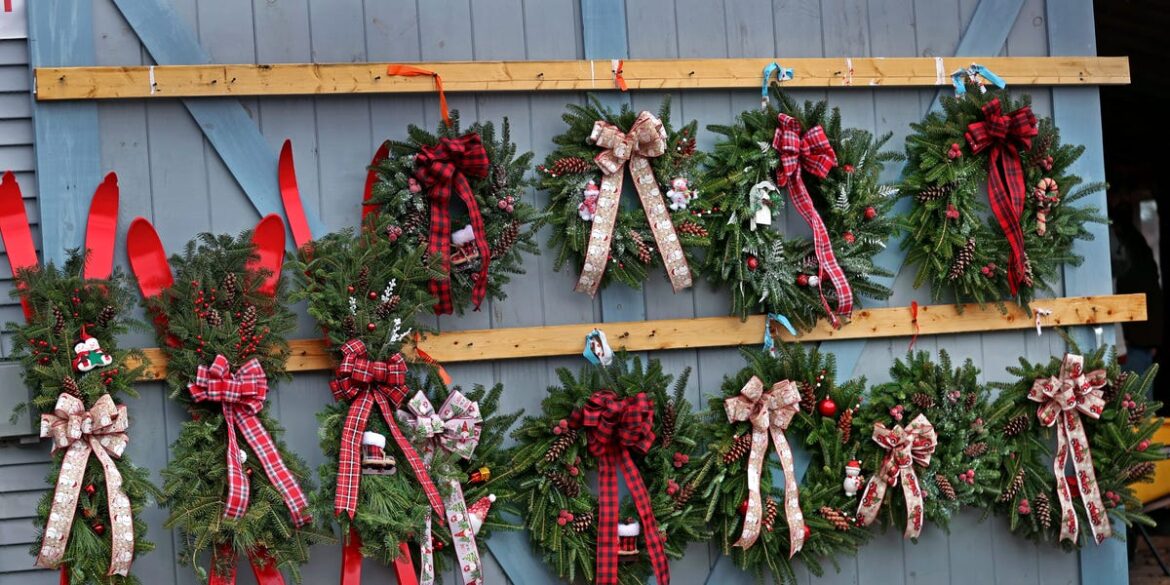 7 Festive Holiday Plants That Are EXTREMELY Toxic to Your Pets