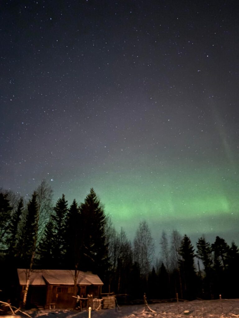 Wonderful cold nights