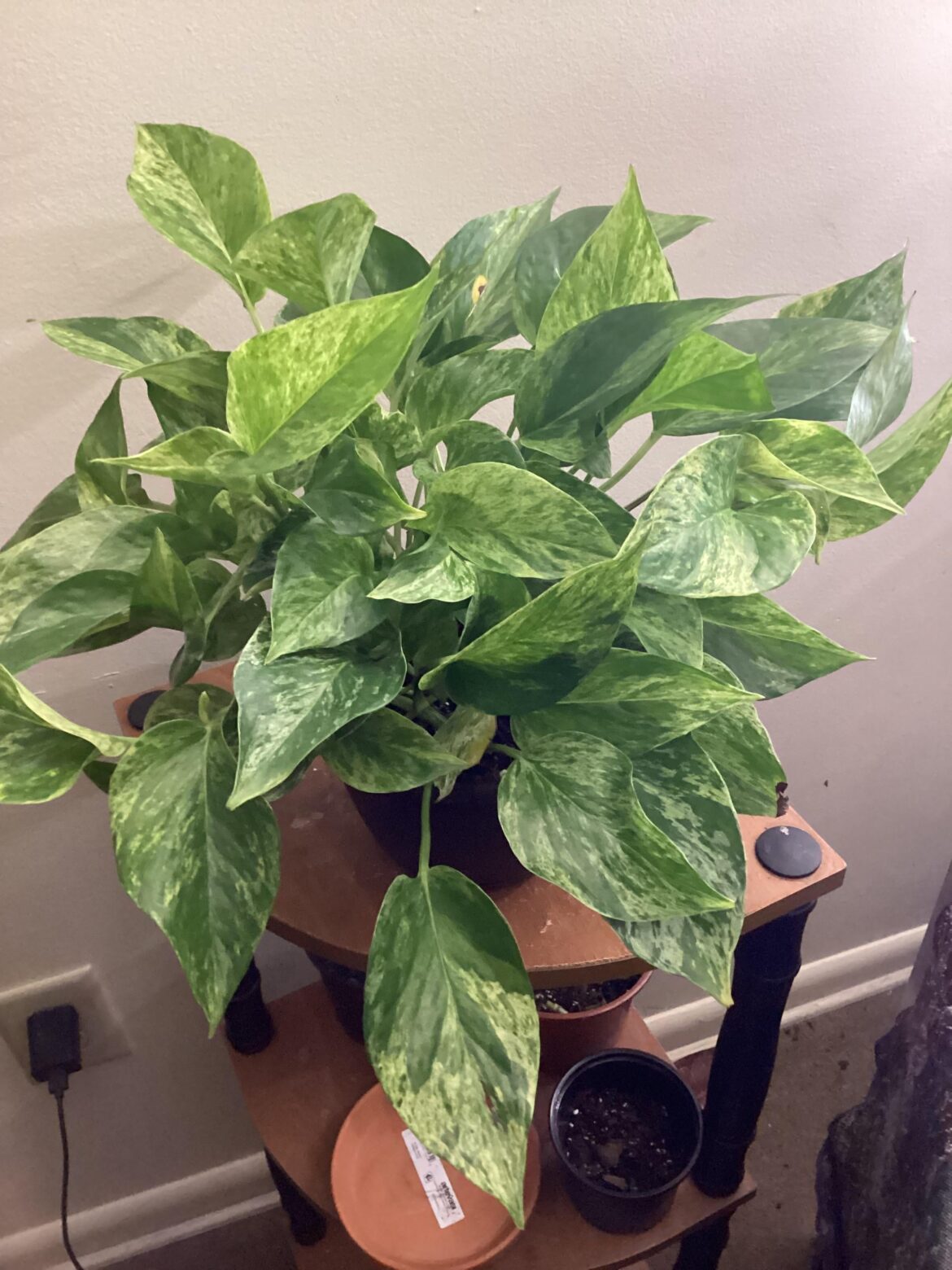 It’s a beautiful day in the neighborhood for the beauty❤️