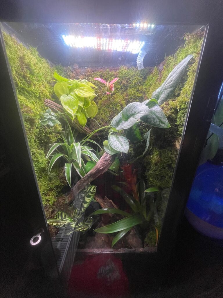 First try - any advice ?