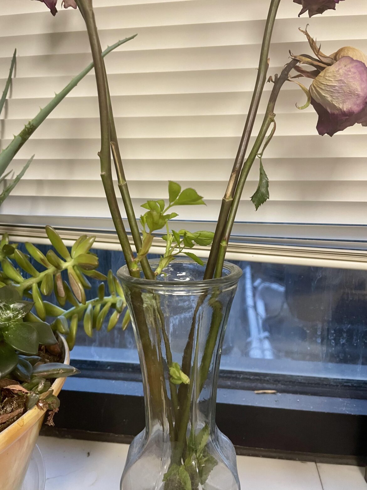 Is there anything I can do with these?