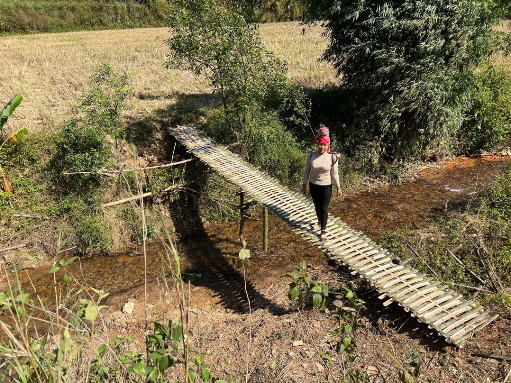 completed the bamboo bridge to go to the field